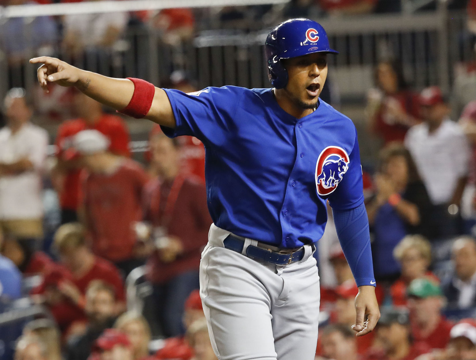 NLDS Cubs Nationals Baseball